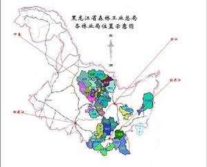 黑龙江,黑龙江,科技之光,重塑生活体验