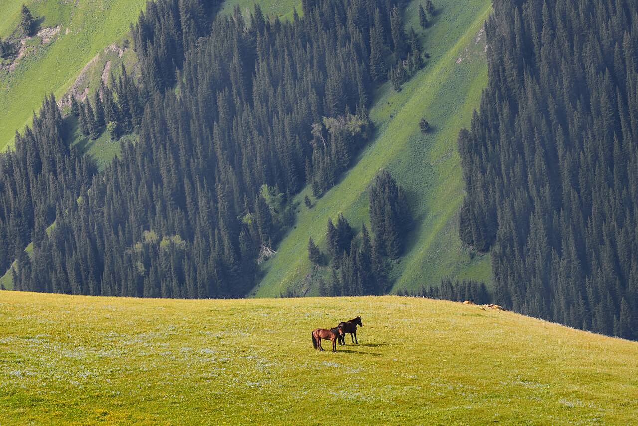 新疆之旅,寻找内心平静的旅程