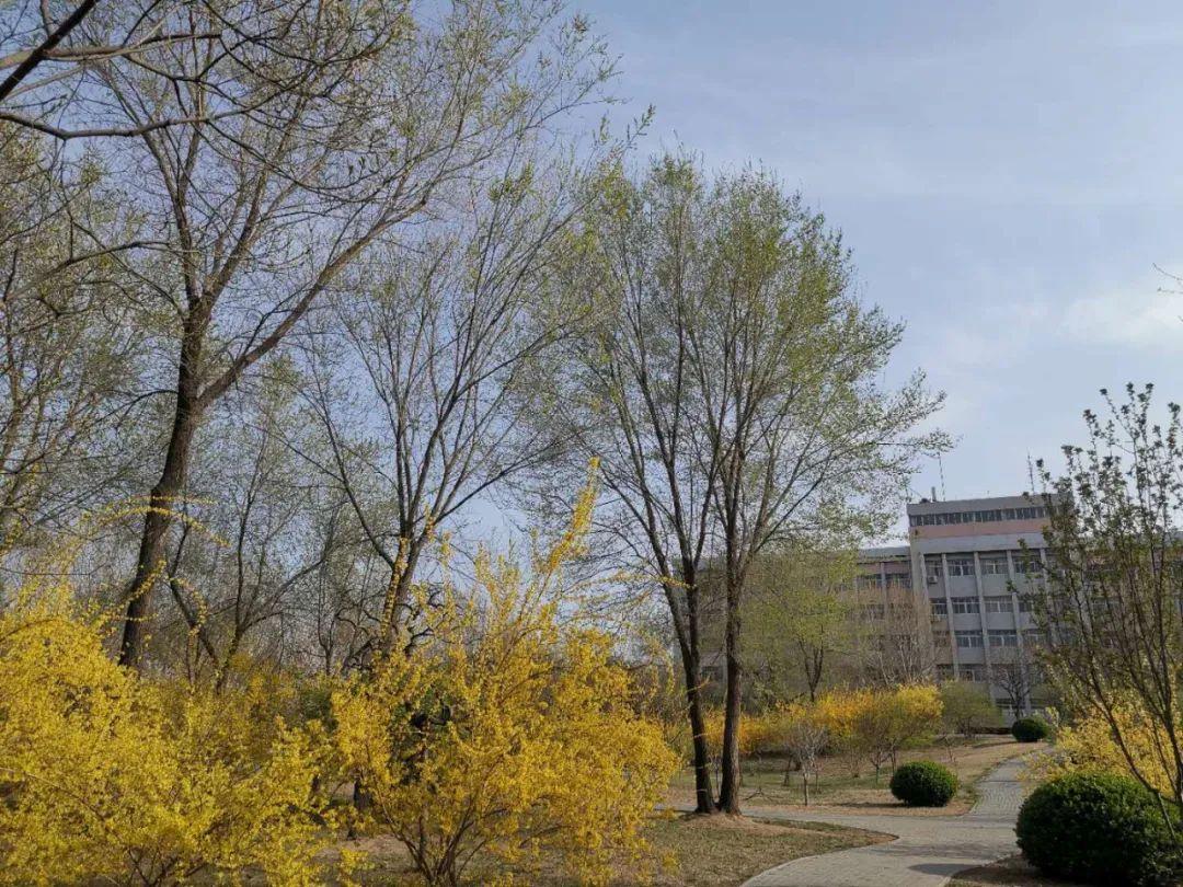 廊坊，崛起中的璀璨明珠