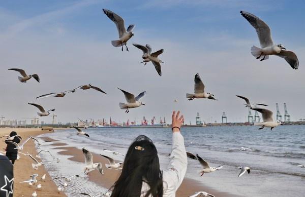 秦皇岛阳光沙滩，海岸线尽享明媚时光